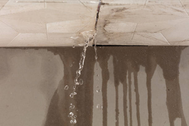 Professional Water Extraction technician working in Balaton, MN